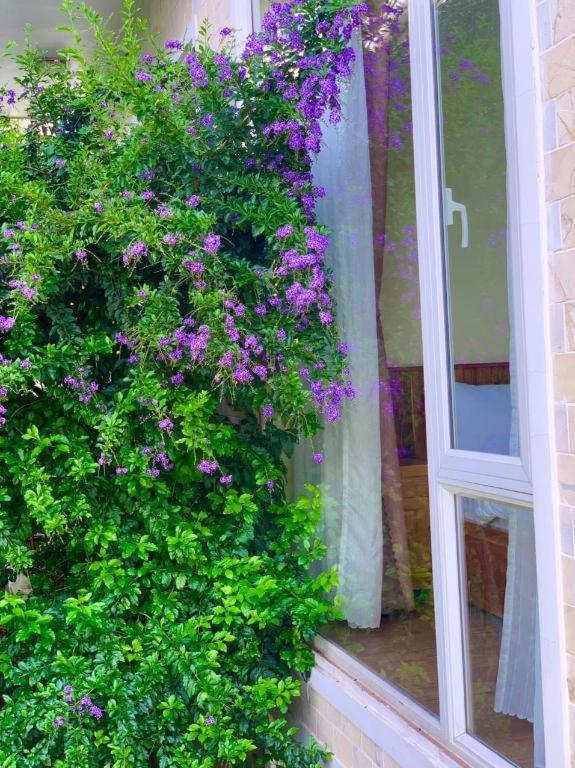 La Roza Dalat Boutique Hotel Exterior photo